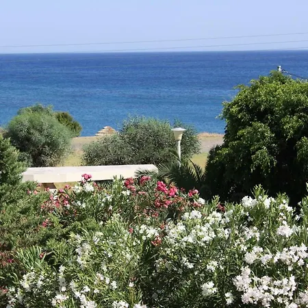 Athina * 키오타리